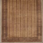 1476 4399 CARPET